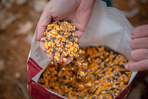 Whitetail Institute 30-06 Tall Tine Protein Feed, Deer