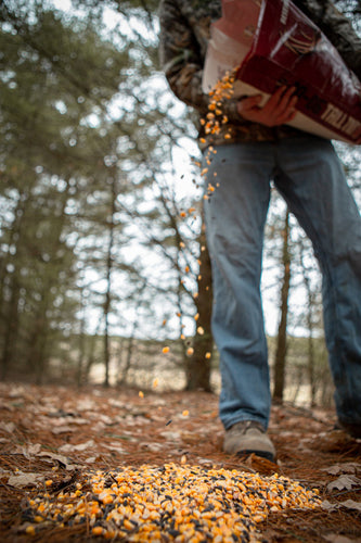 Whitetail Institute 30-06 Tall Tine Protein Feed, Deer