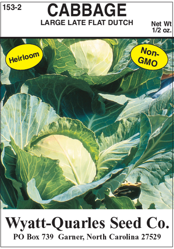 Wyatt-Quarles Seed Company Late Flat Dutch