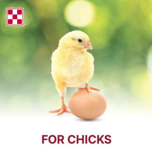 Purina® Start & Grow® Non-Medicated Chick Feed