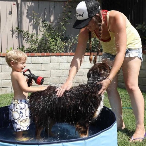 Barking Buddha Buddha Bubbles Organic Shampoo (16 oz. Bottle) for Dogs of All Sizes and Puppies Too!