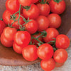 Burpee Sweetie Organic Tomato Seeds