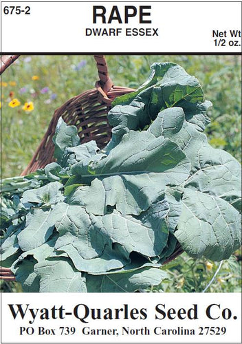 Wyatt-Quarles Seed Company 1/2 Oz. Rape-Dwarf Essex