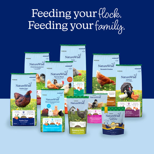 Nutrena® NatureWise® TidBits™ Healthy Egg Poultry Treats