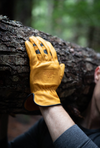 Bear Knuckles Bodacious - D357