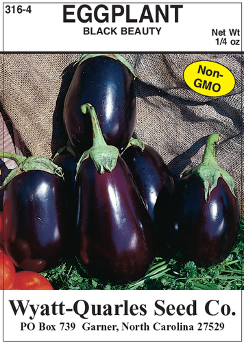 Wyatt-Quarles Seed Company 1/4 Oz. Eggplant - Black Beauty