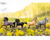 Breyer Poetry in Motion Gift Set