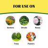 Ironite Plus 12-10-10