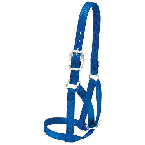 Weaver Barn Cow Halter