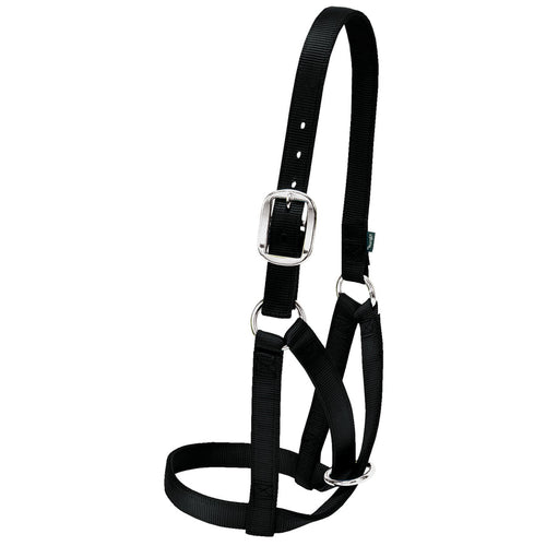 Weaver Barn Cow Halter