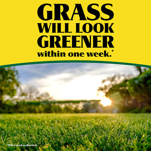 Pennington Ironite Minderal Supplement 1-0-1