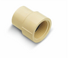 Genova Products 1/2 in. Slip x 1/2 in. Dia. FPT CPVC Pipe Adapter