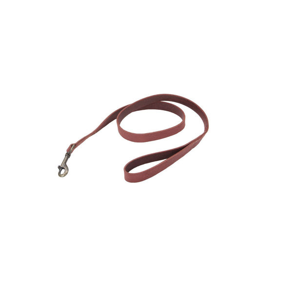 Coastal Pet Circle T Rustic Leather Dog Leash