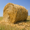 Round Bale Bermuda Hay 4x4