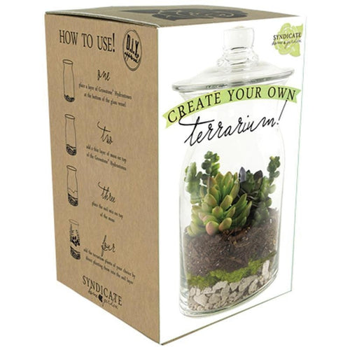 DIY TERRARIUM KIT