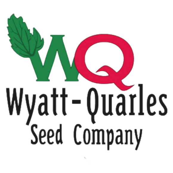 Wyatt-Quarles Seed Company Southern or Georgia (1 oz)