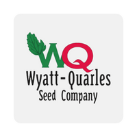Wyatt-Quarles