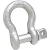Campbell Anchor Shackle, Screw Pin, Hot Galvanized