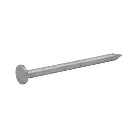 Primesource 1.5 in. Hot Galvanized Common Nail