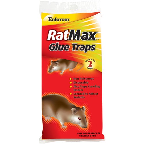 Enforcer RM-2 Rat/Mouse Glue Trap - 2 Pack