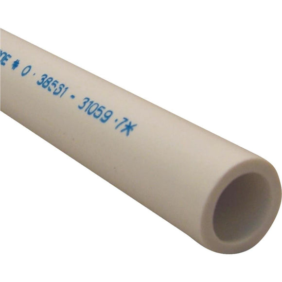 Charlotte Pipe 1/2 In. x 5 Ft. Schedule 40 Cold Water PVC Pressure Pipe