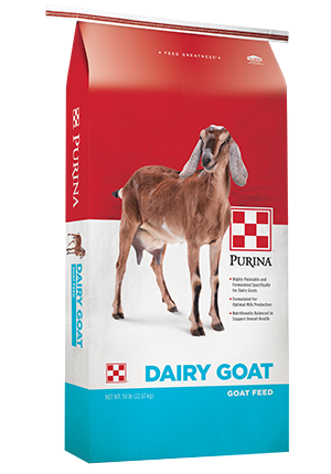 Purina® Dairy Goat Parlor 18