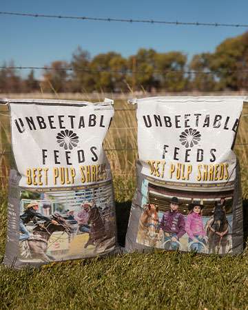 Unbeetable Feeds Beet Pulp Shreds with Molasses (30 Lb)