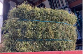 Alfalfa Hay Bale