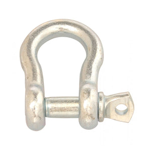 Apex Campbell 3/8" Anchor Shackle, Screw Pin, Zinc Plated