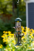 Brome Squirrel Buster Nut Feeder