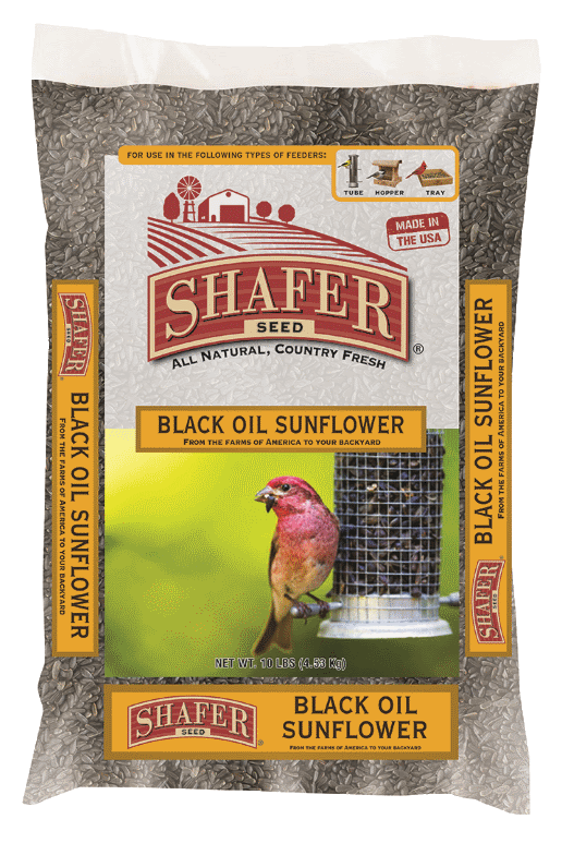 Shafer Black Oil Sunflower Seed