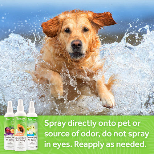 TropiClean Pure Plum Deodorizing Spray for Pets